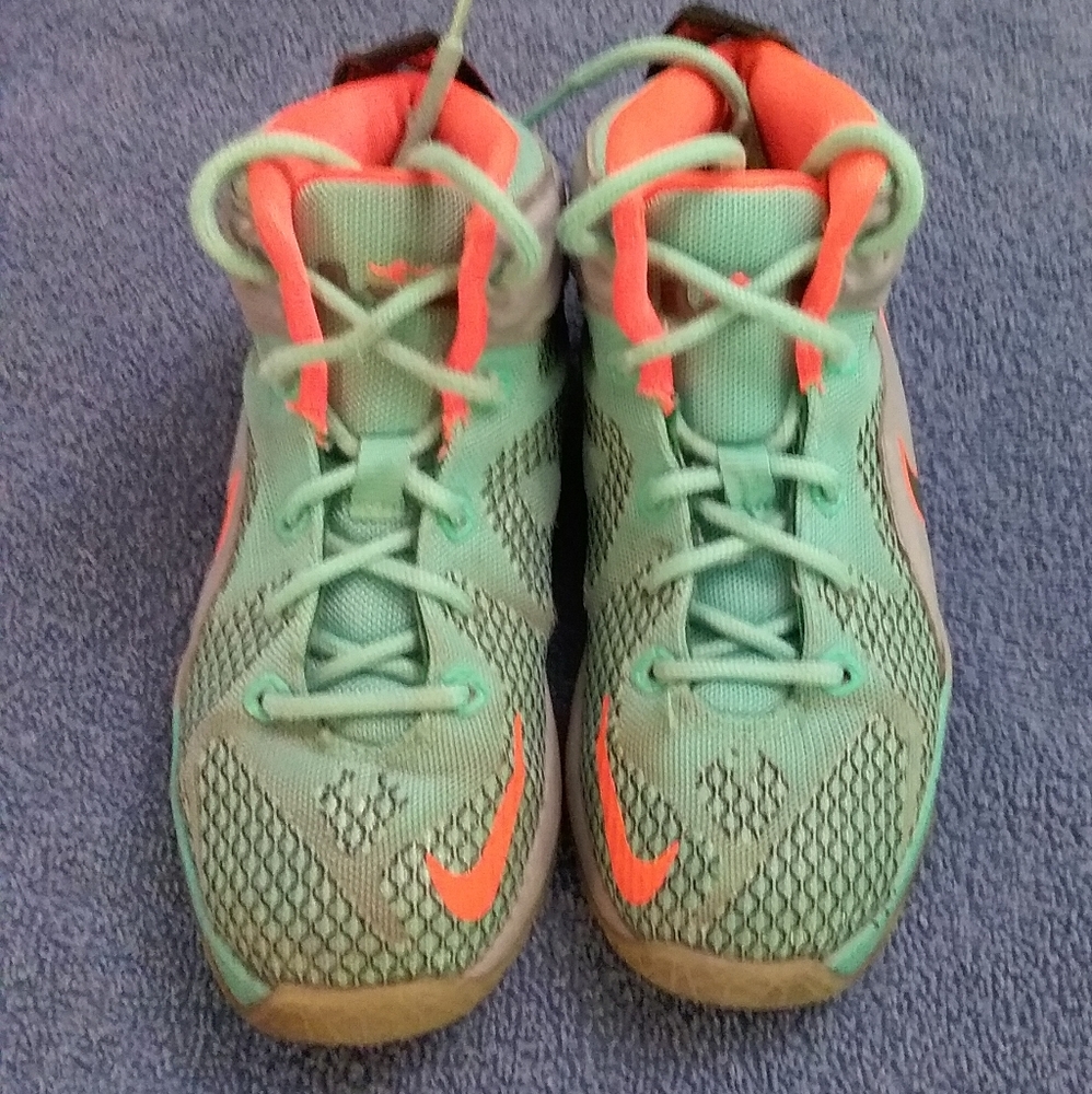 Nike Lebron James  shoes